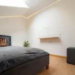 Elit * Kassa